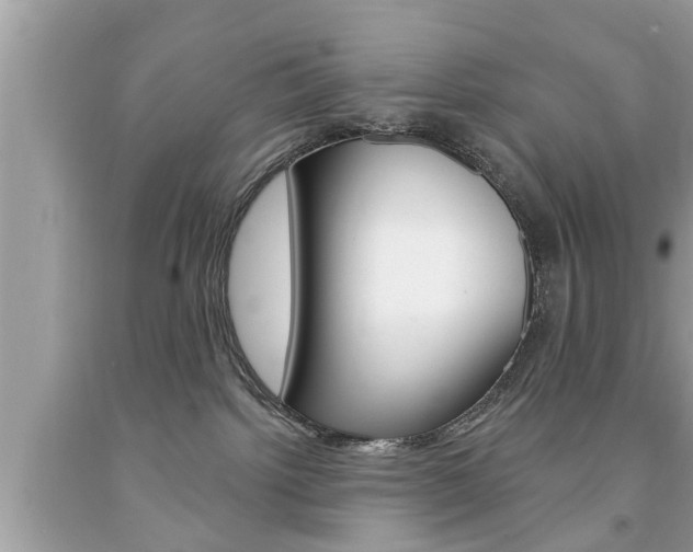 X0000094170092200710260919