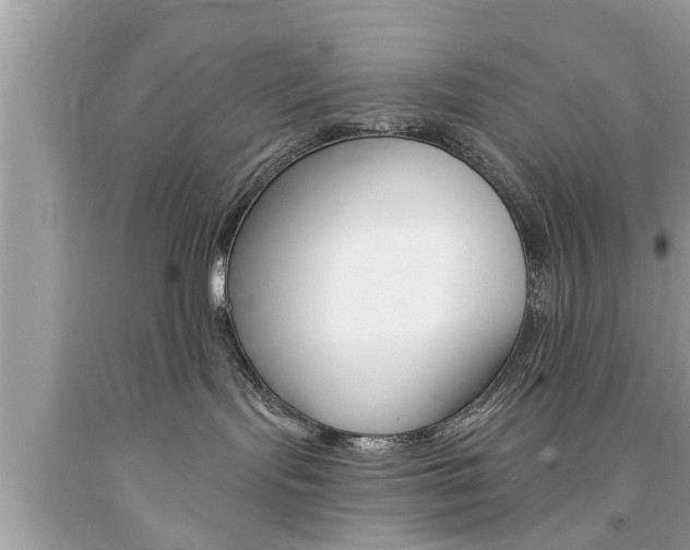 X0000094170095200710260919