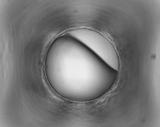 X0000094170097200710260918
