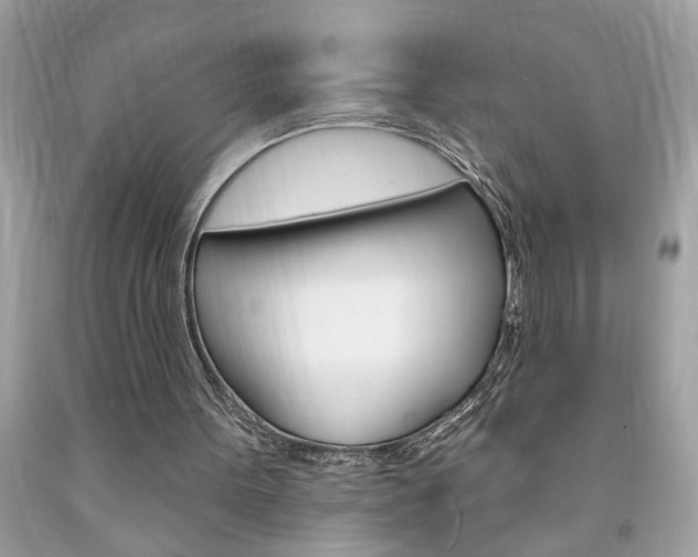 X0000094170099200710260918