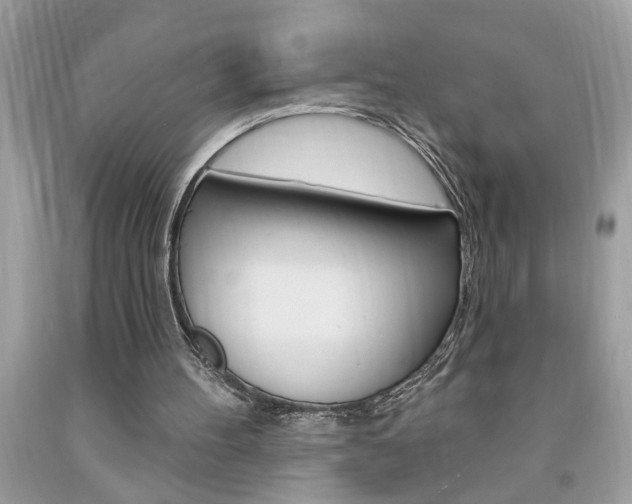X0000094170100200710260918