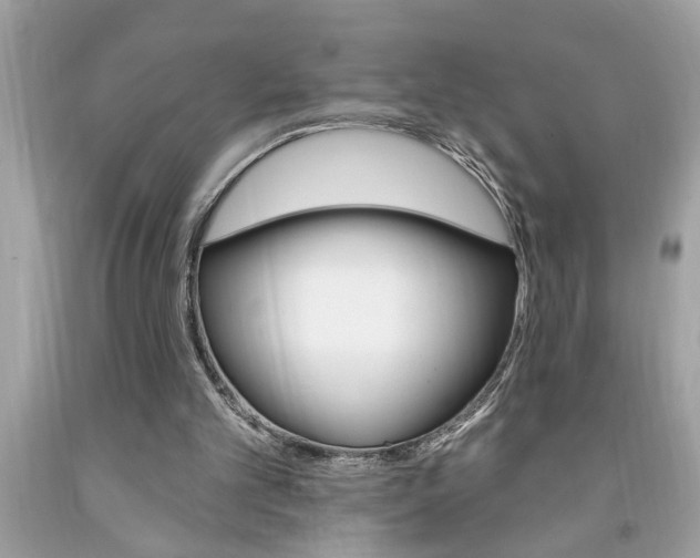 X0000094170101200710260918