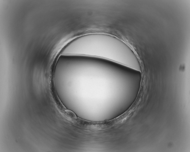 X0000094170103200710260918