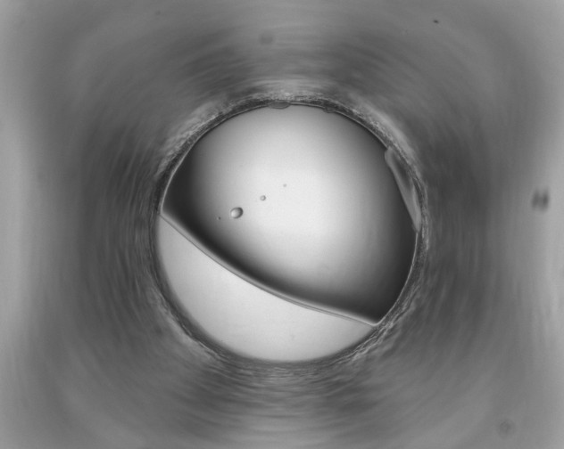 X0000094170105200710260918