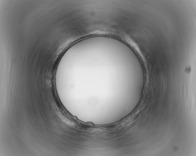 X0000094170106200710260918