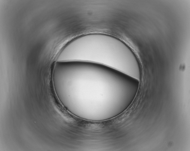 X0000094170107200710260918