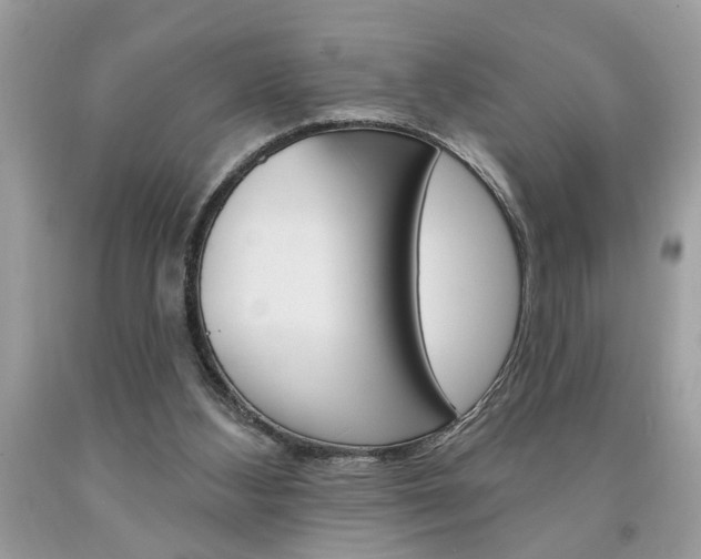 X0000094170108200710260918