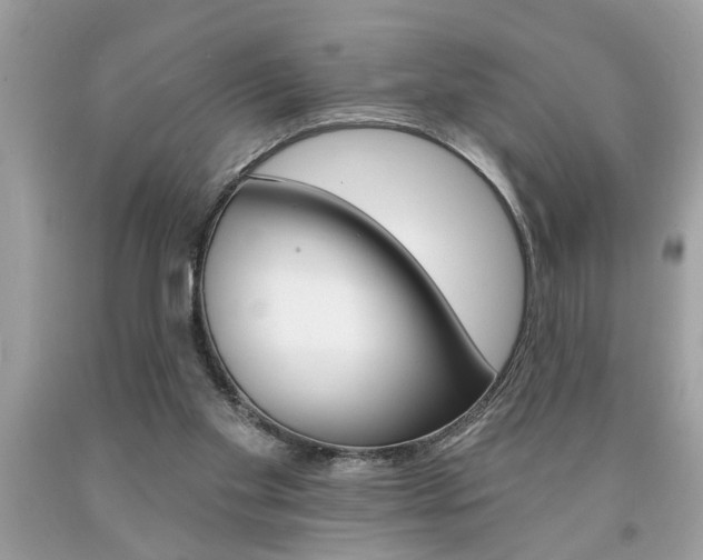 X0000094170109200710260918