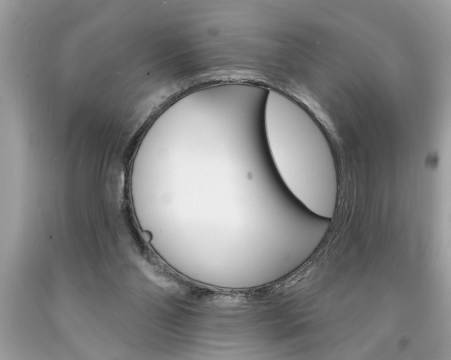 X0000094170110200710260918