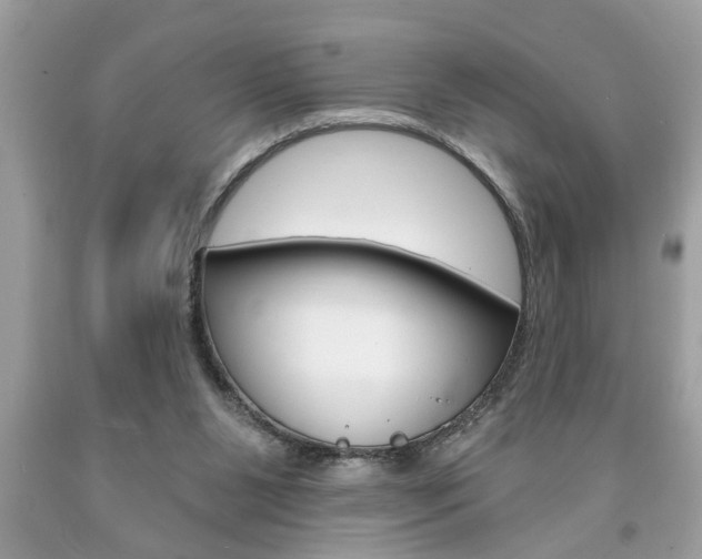 X0000094170111200710260918