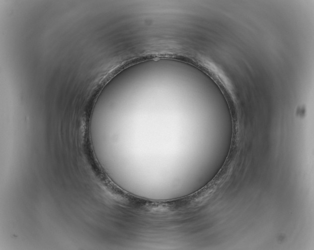 X0000094170113200710260918