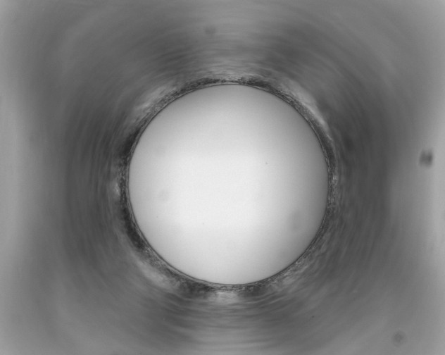 X0000094170114200710260918