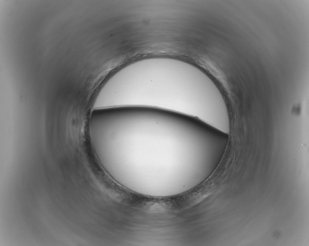 X0000094170115200710260917
