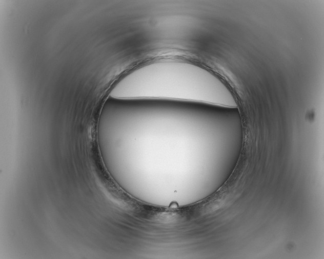 X0000094170119200710260917