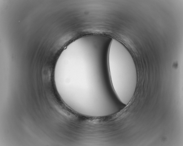 X0000094170120200710260917