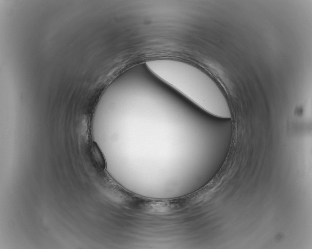 X0000094170121200710260917