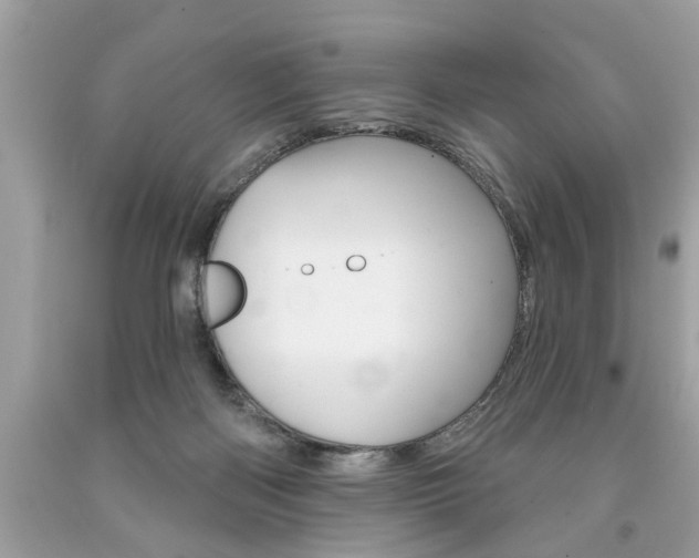 X0000094170122200710260917