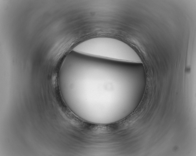 X0000094170123200710260917