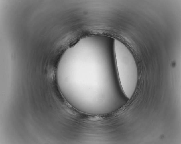 X0000094170125200710260917