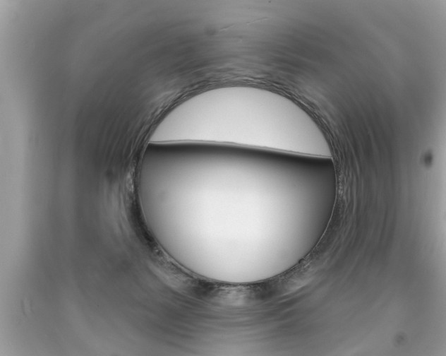 X0000094170127200710260917