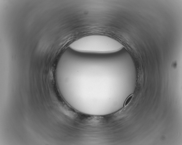 X0000094170128200710260917