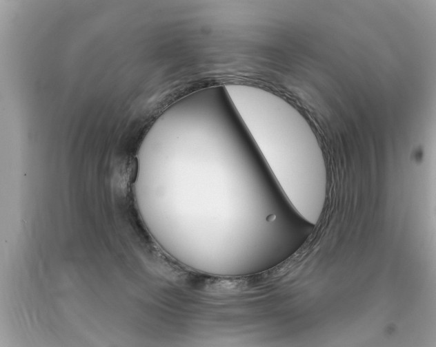 X0000094170129200710260917