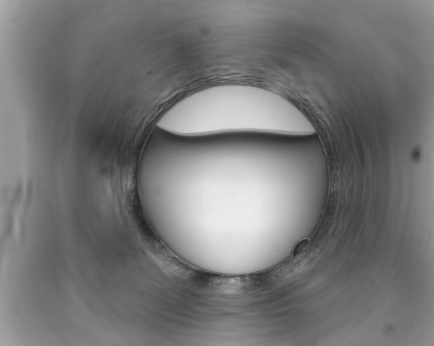 X0000094170131200710260917