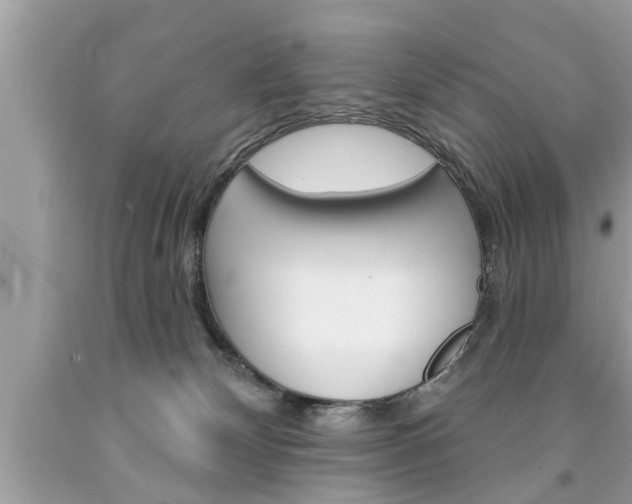 X0000094170132200710260917