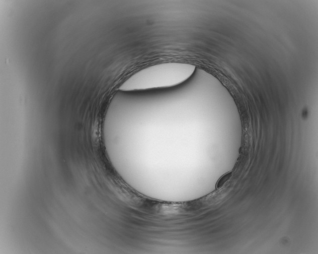 X0000094170134200710260917