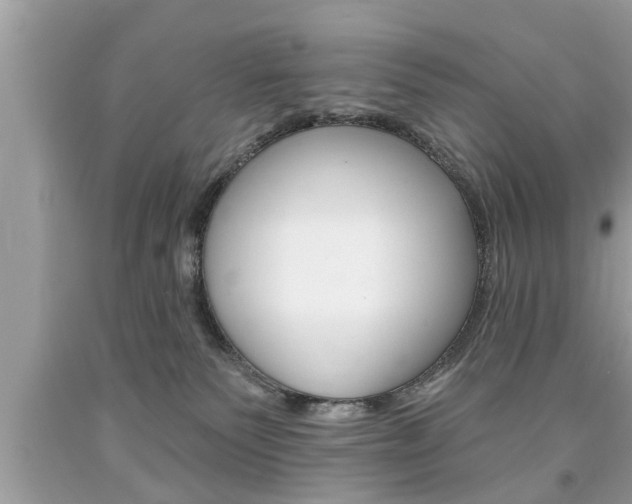 X0000094170135200710260917