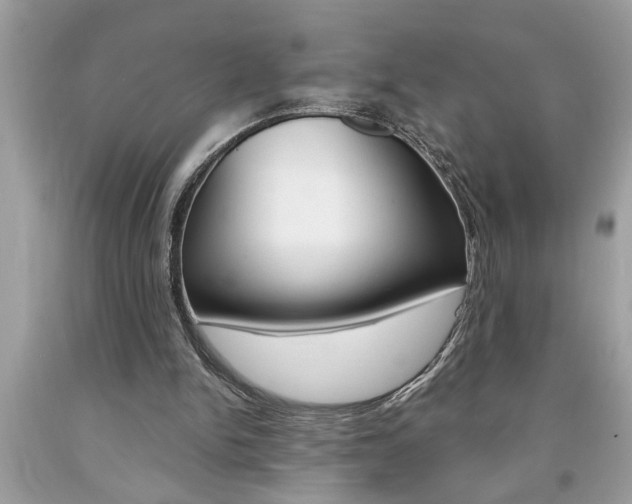 X0000094170150200710260916