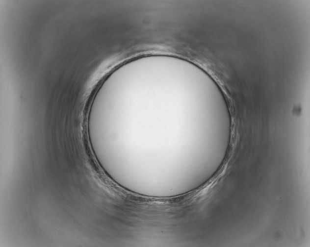 X0000094170151200710260917
