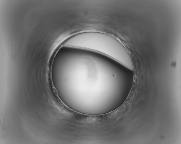 X0000094170152200710260917