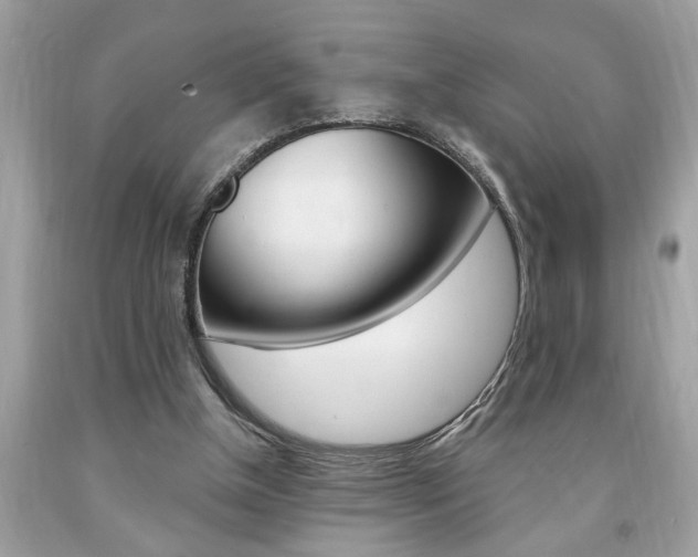 X0000094170154200710260917