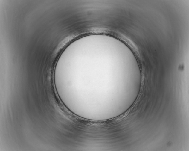 X0000094170155200710260917