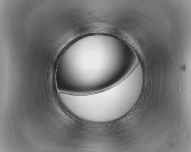X0000094170156200710260917