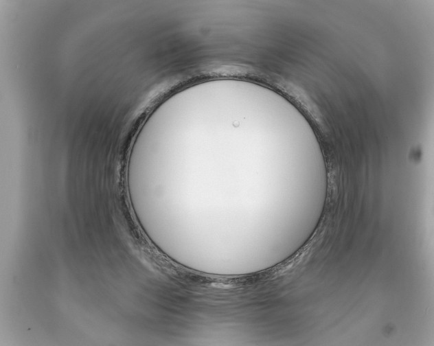 X0000094170159200710260917