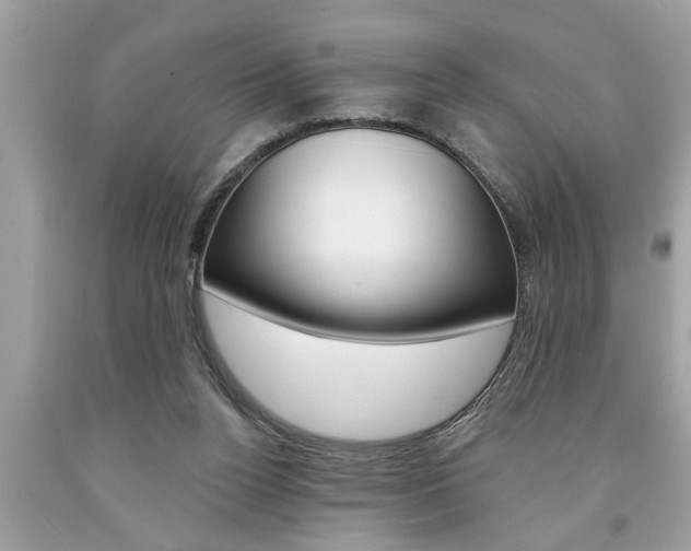 X0000094170160200710260917