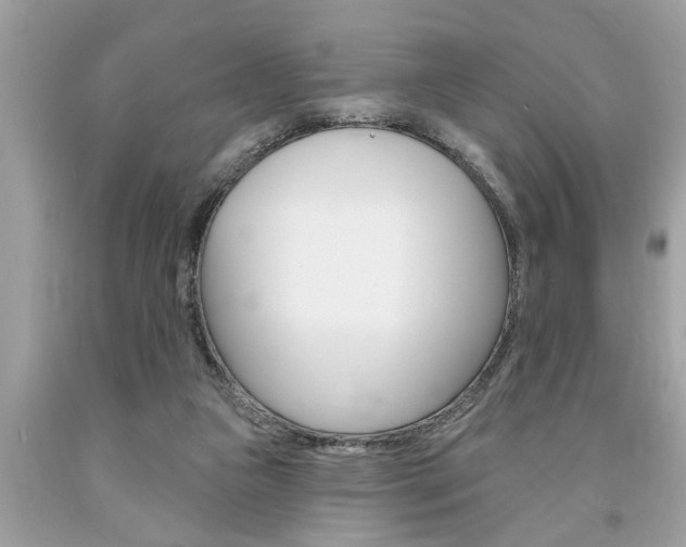 X0000094170161200710260917