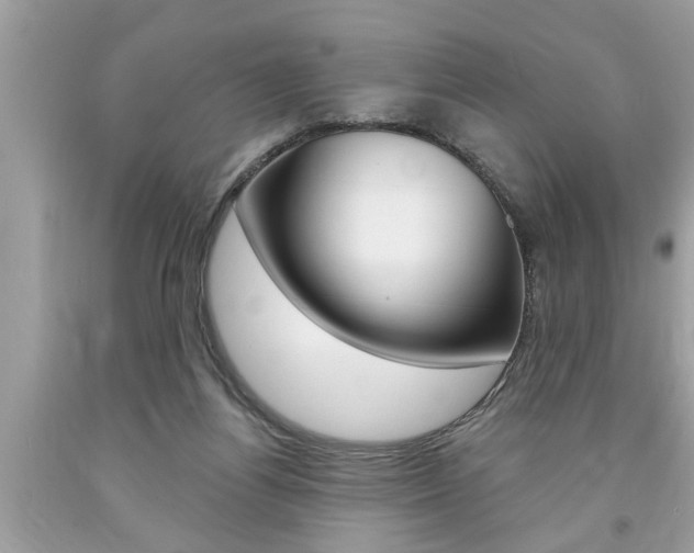 X0000094170164200710260917