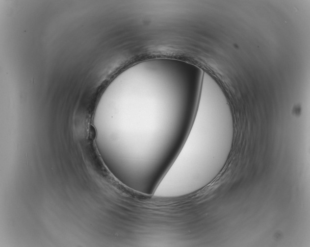 X0000094170168200710260917