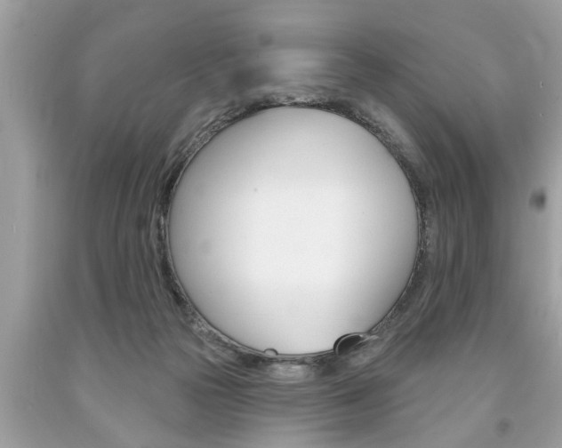 X0000094170169200710260917