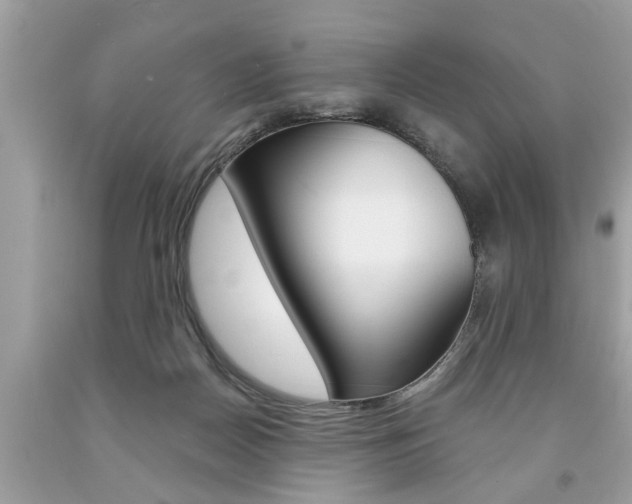 X0000094170170200710260917