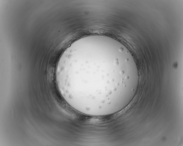 X0000094170171200710260917