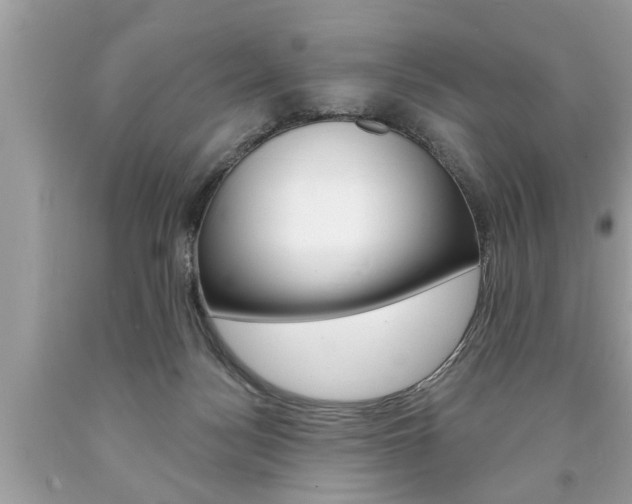 X0000094170172200710260917