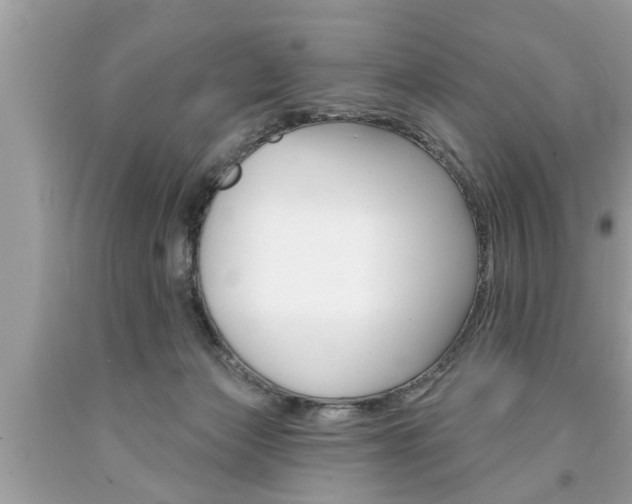 X0000094170173200710260917