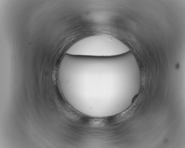 X0000094170175200710260917