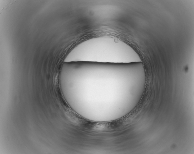 X0000094170177200710260917