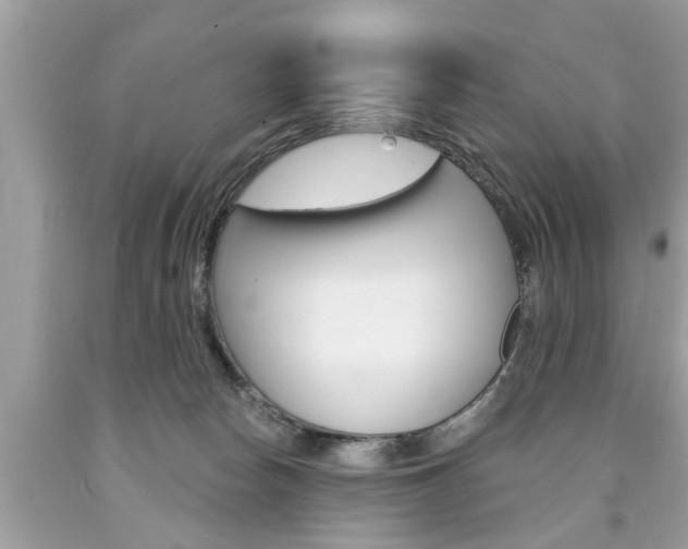 X0000094170178200710260917