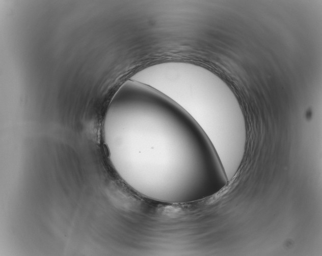 X0000094170180200710260917